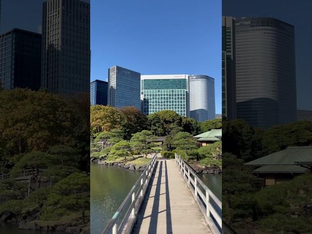 #tokyo Hamarikyu Gardens парк с прудом и садами периода Эдо на месте резиденции сёгуна XVII века
