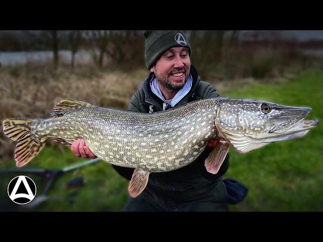 Episode 9 . Big Pike fishing (with dead baits)