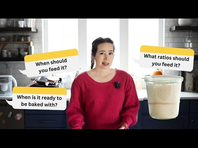 How to Keep Your Starter Happy // Sourdough Starter Feeding Guide