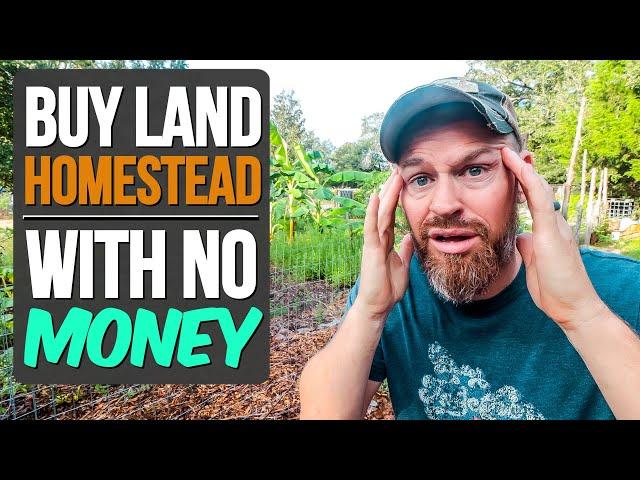 How to Buy Land, Get Out of the City & Homestead (with NO MONEY)