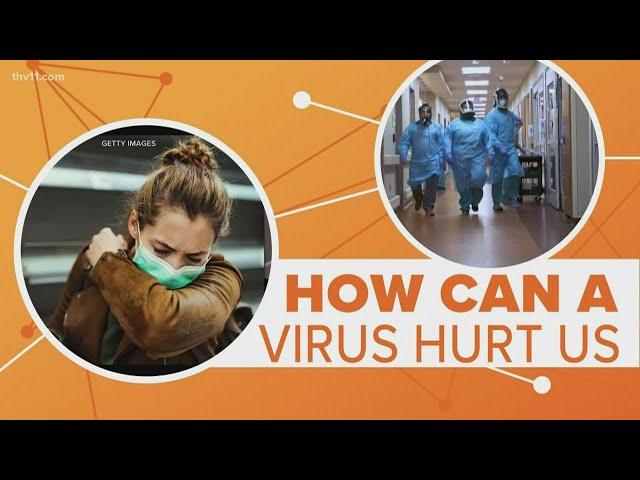 COVID-19 & Immune system response | Connect the Dots