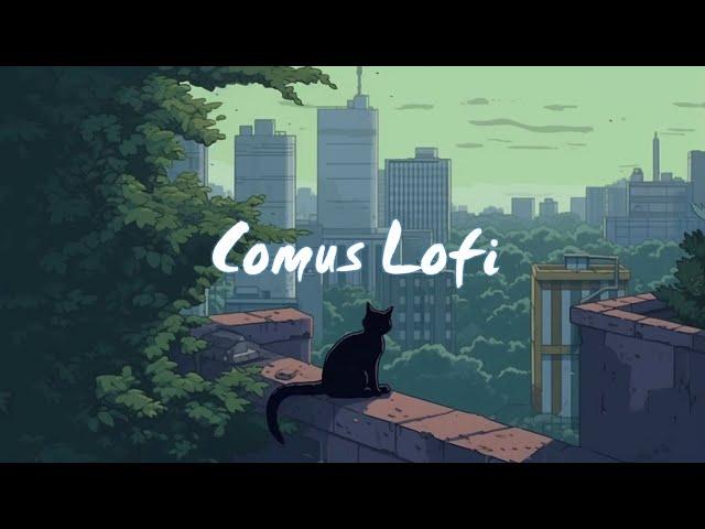 pov : you are trapped in the cat ~ beats lofi chill , lofi music