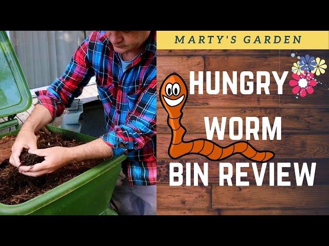 The Hungry Bin WORM FARM REVIEW 7 Months In Hmmm INTERESTING!