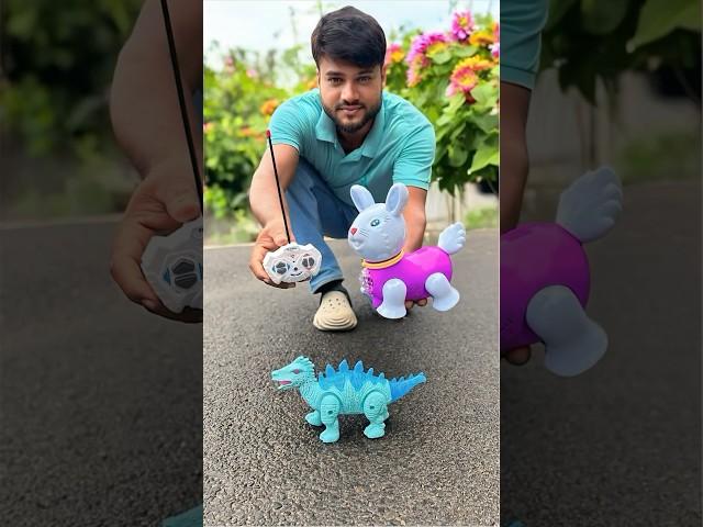 Remote control naya Rabbit and Rc Dinosaur Testing 