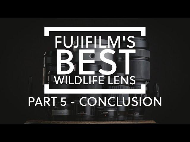 What is Fujifilm's best lens for wildlife photography - PART 5 - Conclusion