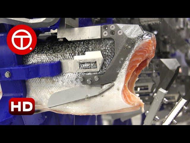 How Salmon Fillet Are Made in Factory | How It's Made ▶01