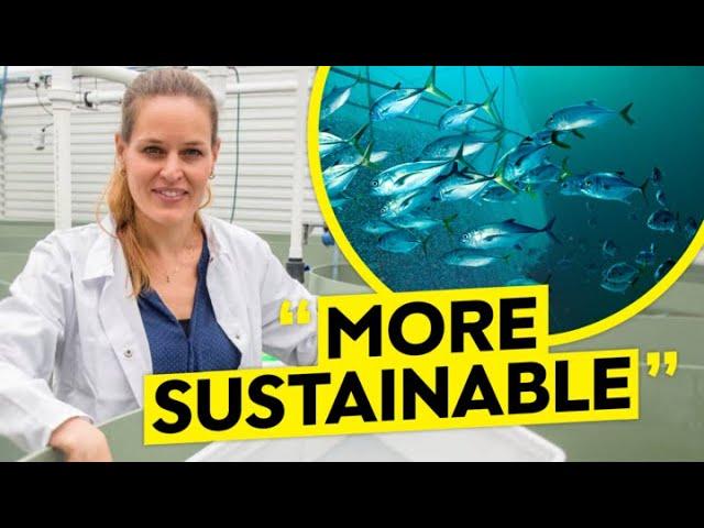 New Technology That Will REVOLUTIONISE Fish Farming!