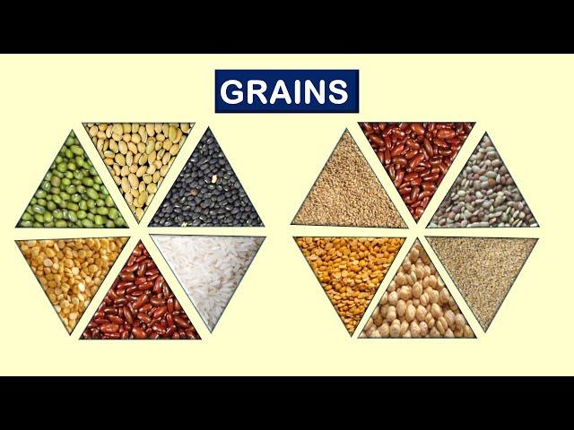 70 Grains, Cereals, Pulses name in ENGLISH with Pictures | Millets | Learn & Nurture