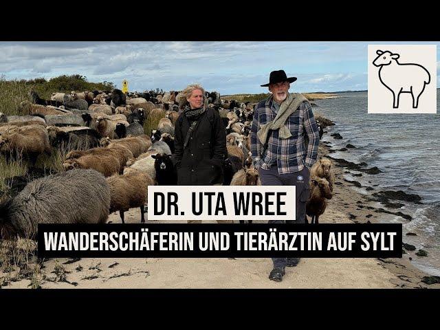 29.09.2024 Braderuper Heide Wanderschäferin & Tierärztin Uta Wree auf #Sylt #Blauzungenkrankheit #BT