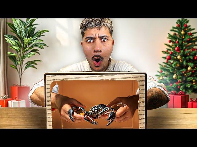 WHATS IN THE BOX CHALLENGE (endet schlimm)