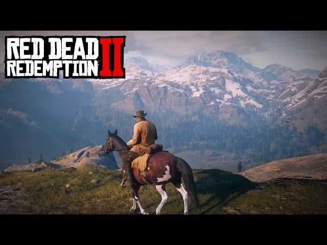 Red Dead Redemption 2 | PS4 Slim Performance