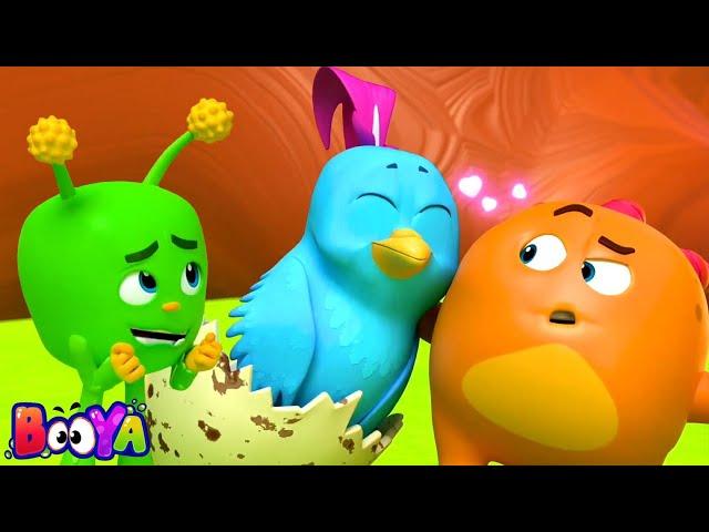 Bird Watch Funny Cartoon and Animated Show for Babies