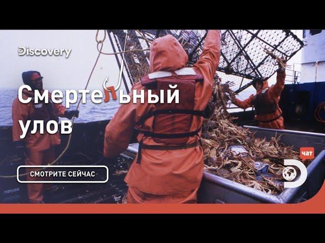 Начало | Смертельный улов | Discovery