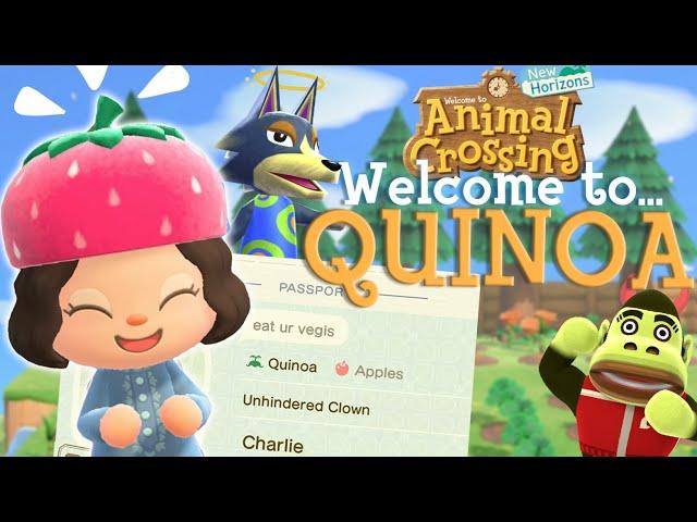 My First Month In Animal Crossing New Horizons