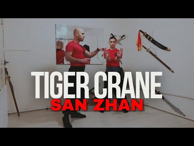 San Zhan Instructional - Tiger Crane Combination