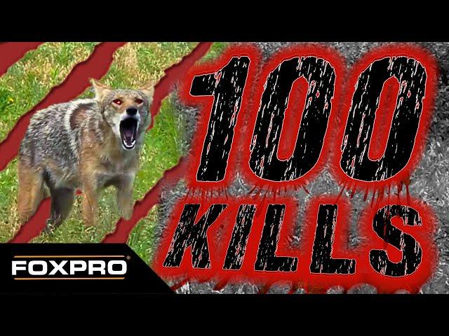 100 FOXPRO Coyotes and Bobcats in Under Four Minutes