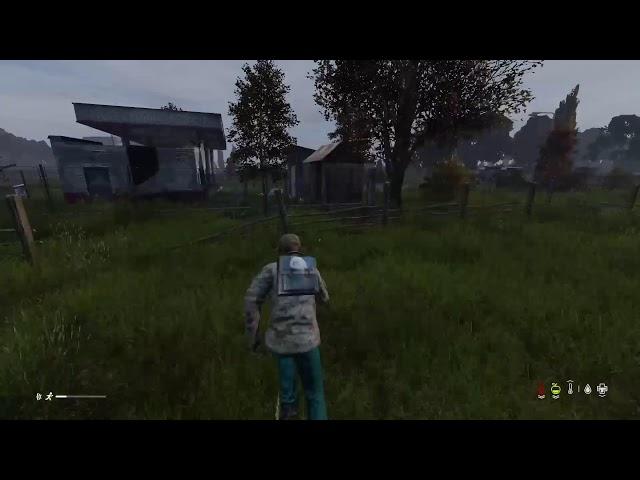 DayZ