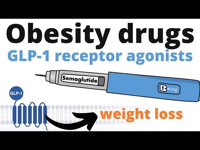 GLP-1 receptor agonists – How weight loss injections work