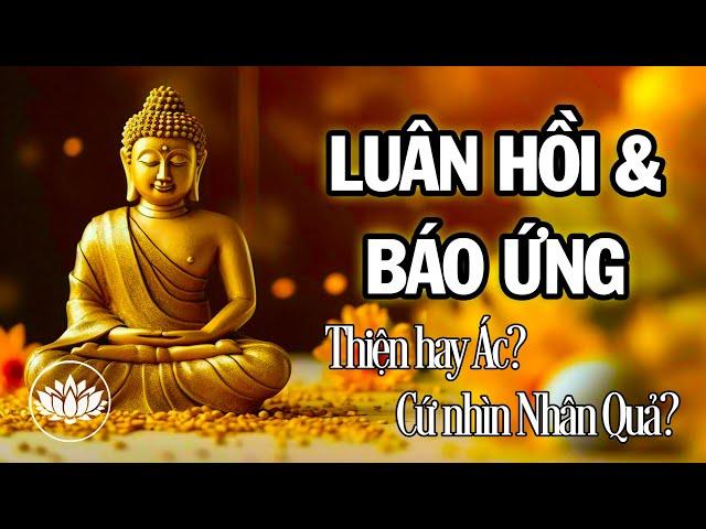 Luân Hồi Báo Ứng – Thiện hay Ác Cứ Nhìn Nhân Quả | Bài Giảng Phật Pháp