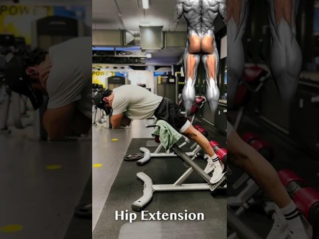 Back Extension vs. Hip Extension!  #fitness #bodybuilding #gym #motivation #gymmotivation #gymbro