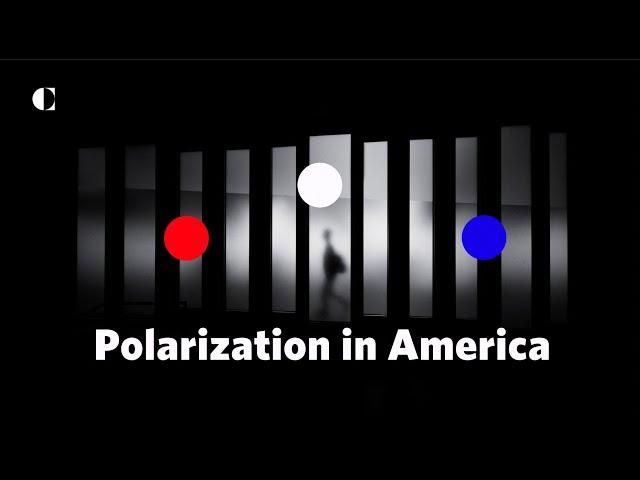 What can be done about polarization in the United States?