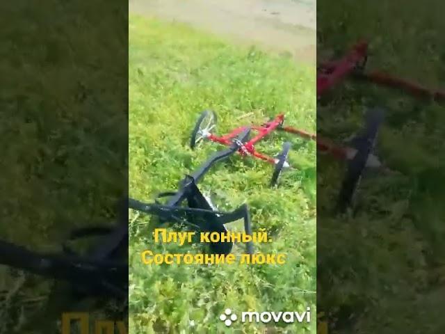 Конный плуг. Видео для Авито.Техника поля