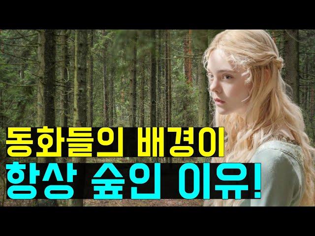 무섭지만 꼭 한번 들어가 보고 싶은 유럽의 숲들!(The medieval forests)