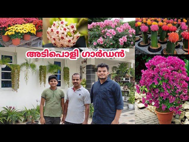 അടിപൊളി ഗാർഡൻ ടൂർ  | 10 സെന്റിലെ അത്ഭുത ഗാർഡൻ | Garden Tour Malayalam | Vasi Vlogs