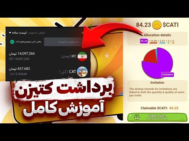 آموزش کامل برداشت توکن کتیزن  علت کم شدن سکه ها  بررسی تمام موارد مهم  CATIZEN TELEGRAM