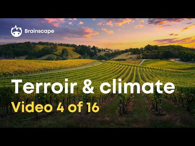 Wine 101: 10 Facts about terroir and its influence on the wines you love