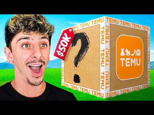 I Bought a $50,000 Temu Mystery Box!