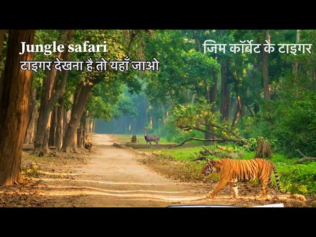 Jungle Safari | टाइगर मिला जंगल में | Tiger Spoted | Jim Corbett | car camping