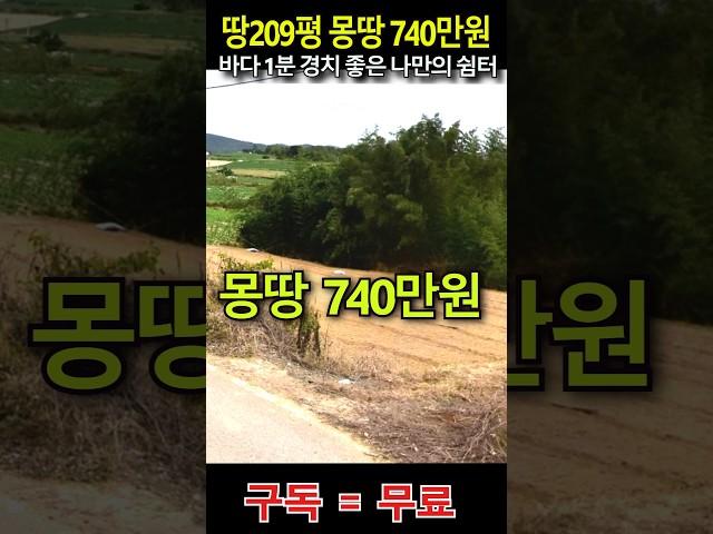 ((긴급))  바다 1분거리의 최고의 땅 209평이 몽땅 740만원 농지취득자격증 불필요!!