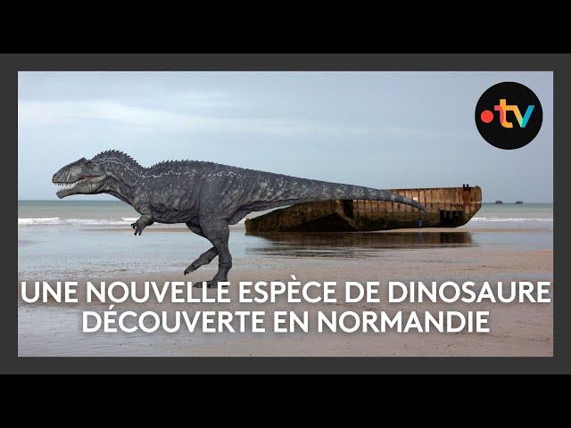 Une nouvelle espèce de dinosaure découverte en Normandie