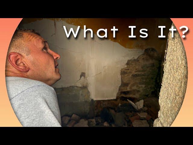 WHY, & WHAT’s it FOR? 