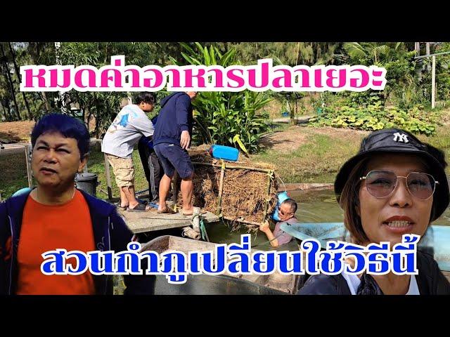 ค่าอาหารปลาแพง สวนกำภูใช้ นวัตกรรมลุงพร#บ้านสวนกำภูEP1218