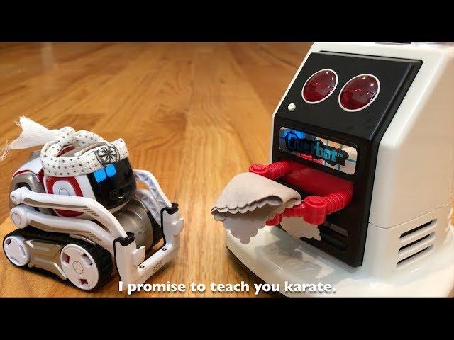 The Karate Cozmo: Episode 2