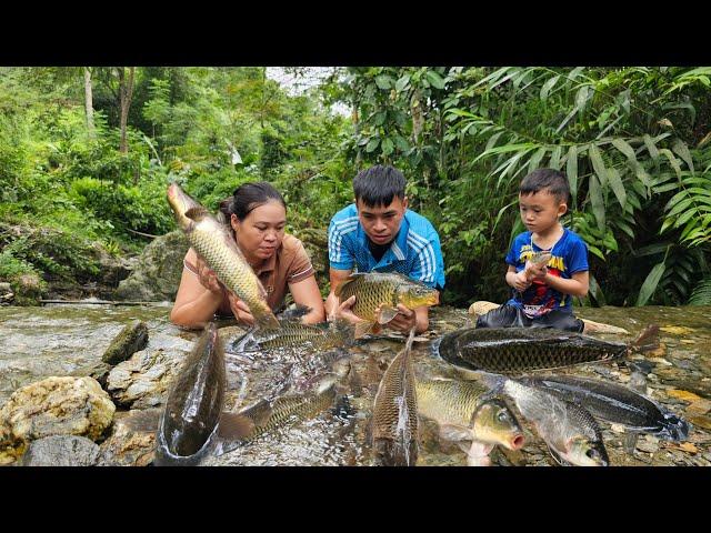 Meet A Big School Of Fish - Catch Them - Bring Them Home To Dry - Enjoy The Fish Meat And Rice