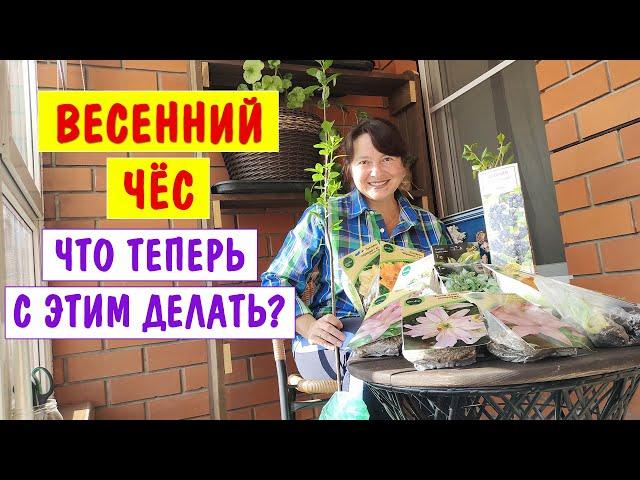 ПОКУПАЛА - радовалась. САЖАЮ - плачу. Как все это теперь хранить?