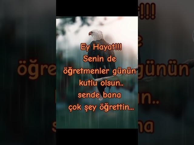 Ey Hayat!!!