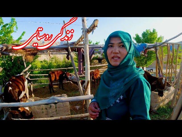 زندگی زیبای روستایی ( دهاتی ) در جاغوری جان #جاغوري