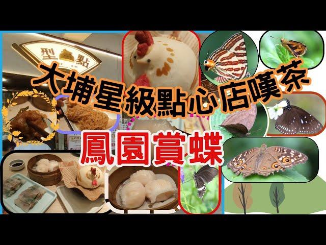 [為食飯團- 94 ]大埔星級點心嘆茶 | 型點｜精品點心｜招牌酥皮鮑魚糯米雞｜五香雞粒芋角｜懷舊蝦餃皇｜大埔鳳園蝴蝶保育區｜欣常美麗蝴蝶｜謝謝