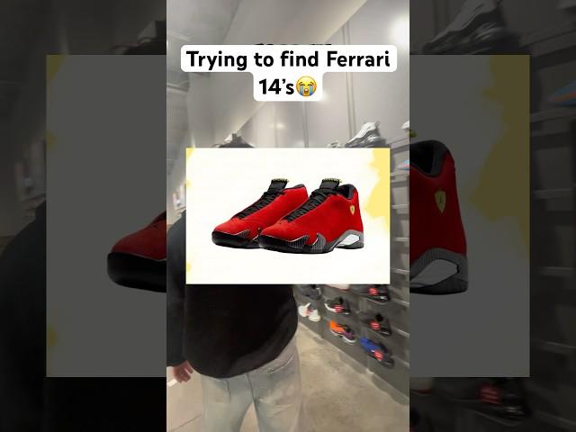 Trying to find Ferrari Jordan 14’s on release day #sneaker #shoes