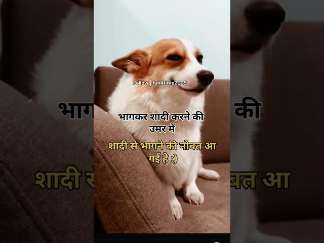 #trendingvideo #viralshort #entertainment #dog #ytshort