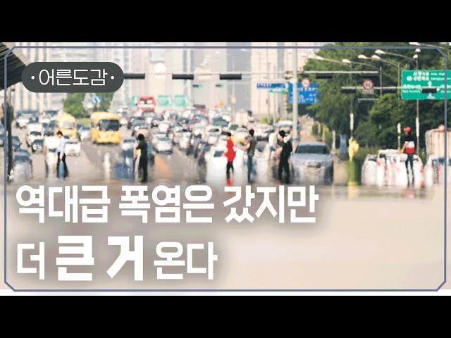 기후 위기로 국가에 소송 걸고 이긴 썰 풉니다 ‍️ | [어른도감 ep.78] | #지식채널e