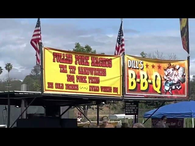 Happy Valley California Strawberry Festival￼ | Josh and Babe Vlogs