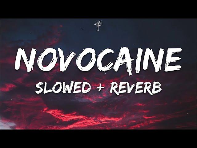 Shiloh Dynasty - Novocaine (Lyrics) Slowed + Reverb