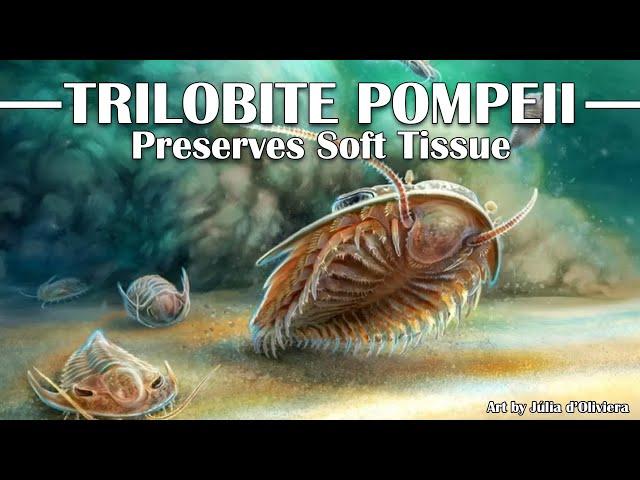 The Trilobite Pompeii Preserves Soft Tissue