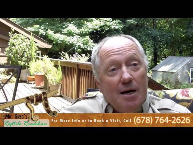 Atlanta Reptile Guy talks about Giraffes, Cheetahs and Wet Willies