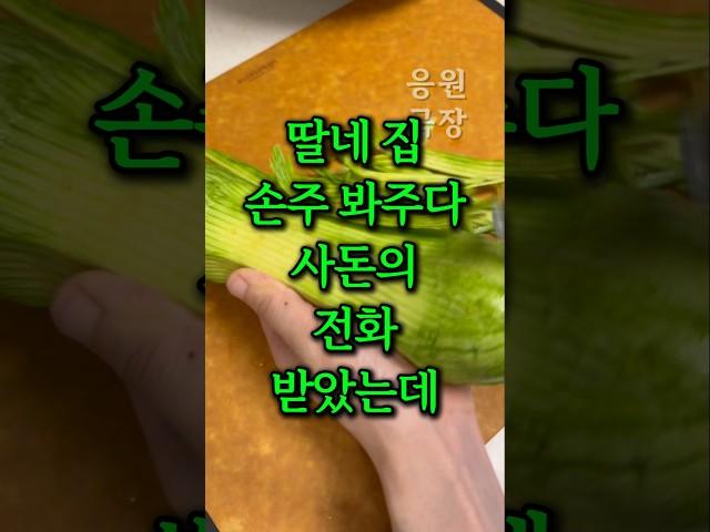 딸네 집 손주 봐주다 받은 사돈의 전화, 상상도 못한 반전이
